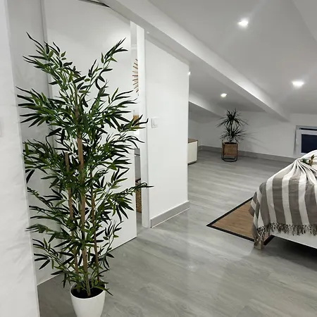 Loft Waves Apartment